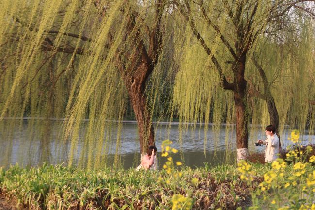 爱在华师大 51252901084 马怡宁 18896511252.jpg